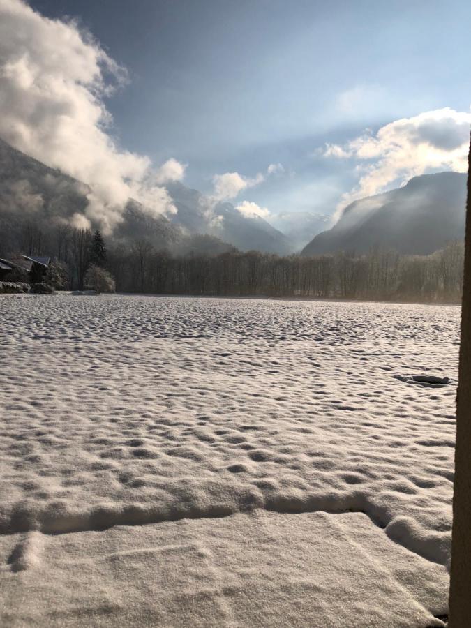 Studio - Le D2 Du Grand Tetras Samoëns Eksteriør billede